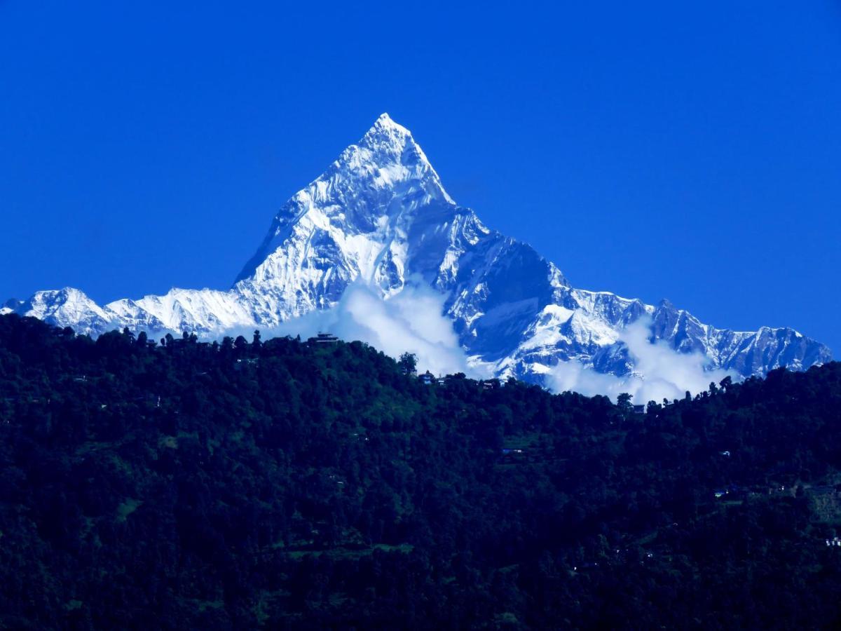 Hotel Bougainvillea Pokhara Dış mekan fotoğraf