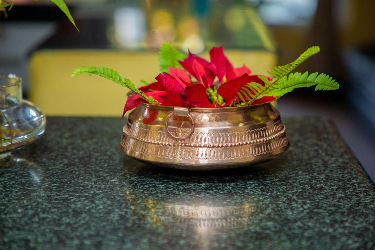 Hotel Bougainvillea Pokhara Dış mekan fotoğraf